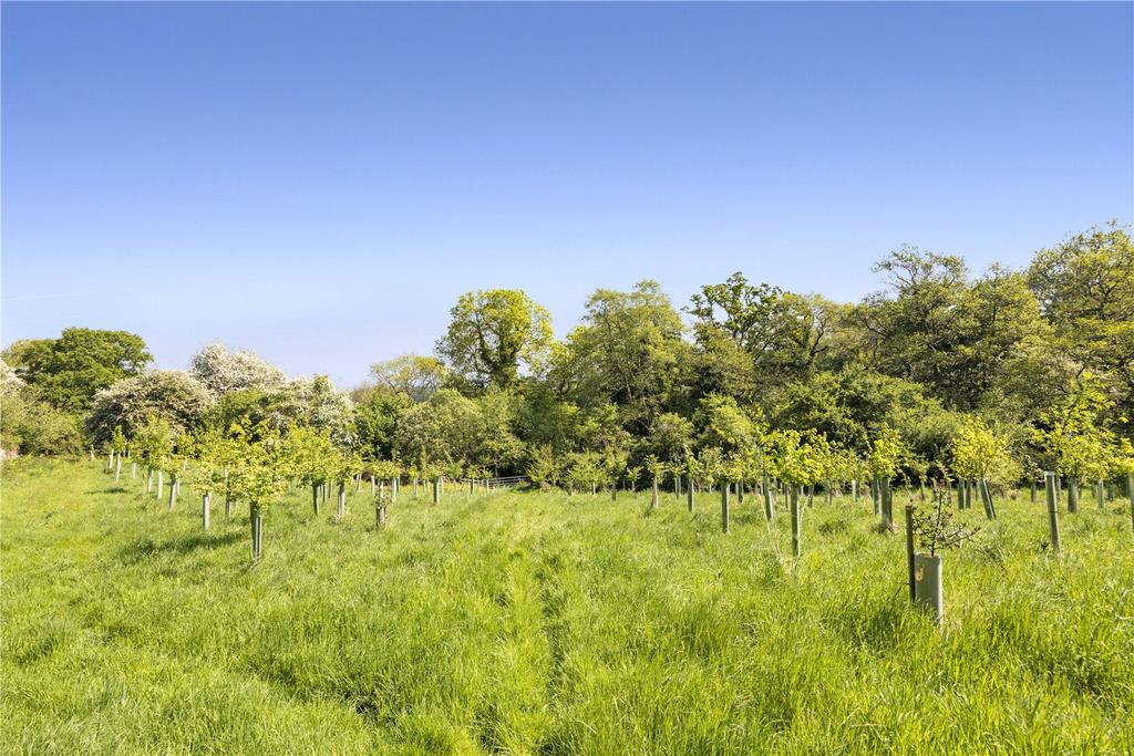 Plantation