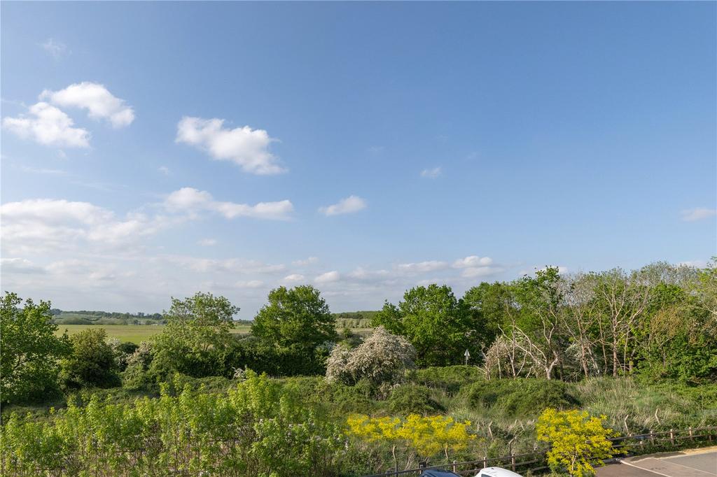 View From Kitchen