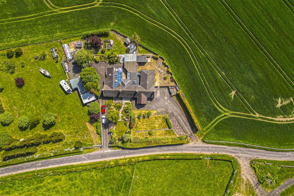 DJI 0855.jpg