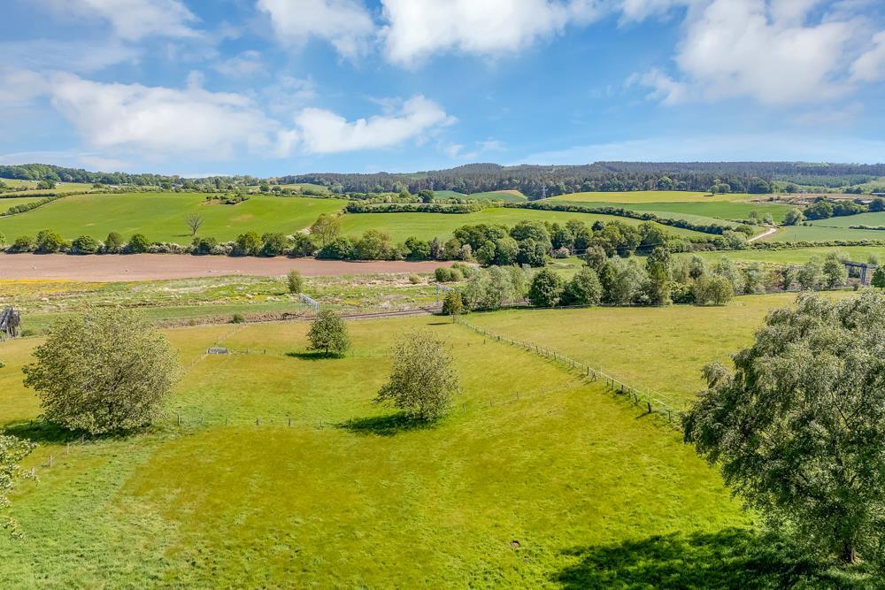 Paddocks
