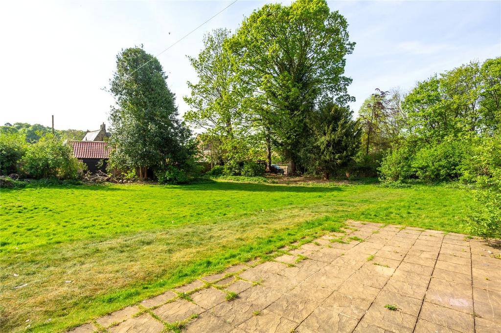 Patio and Garden