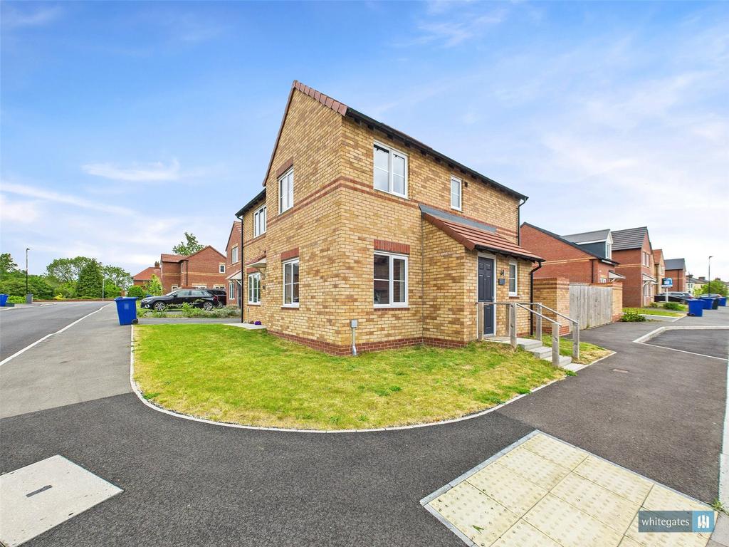 Corner Plot
