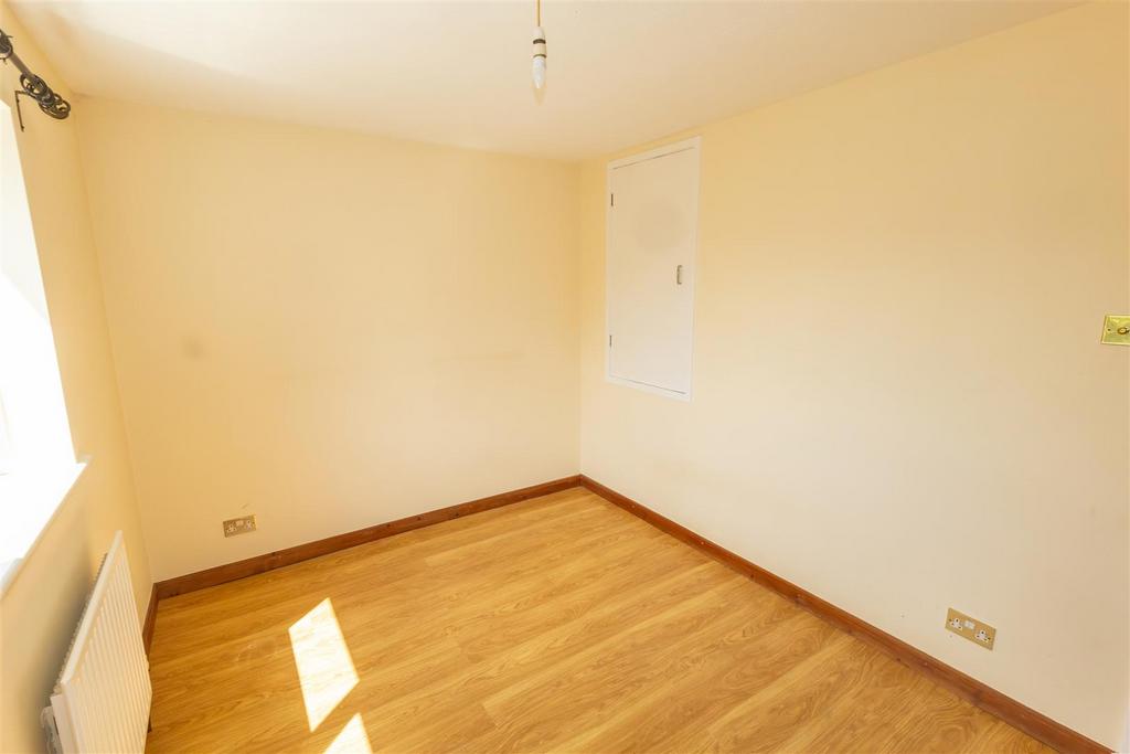 Hawk Close-12 - t.jpeg