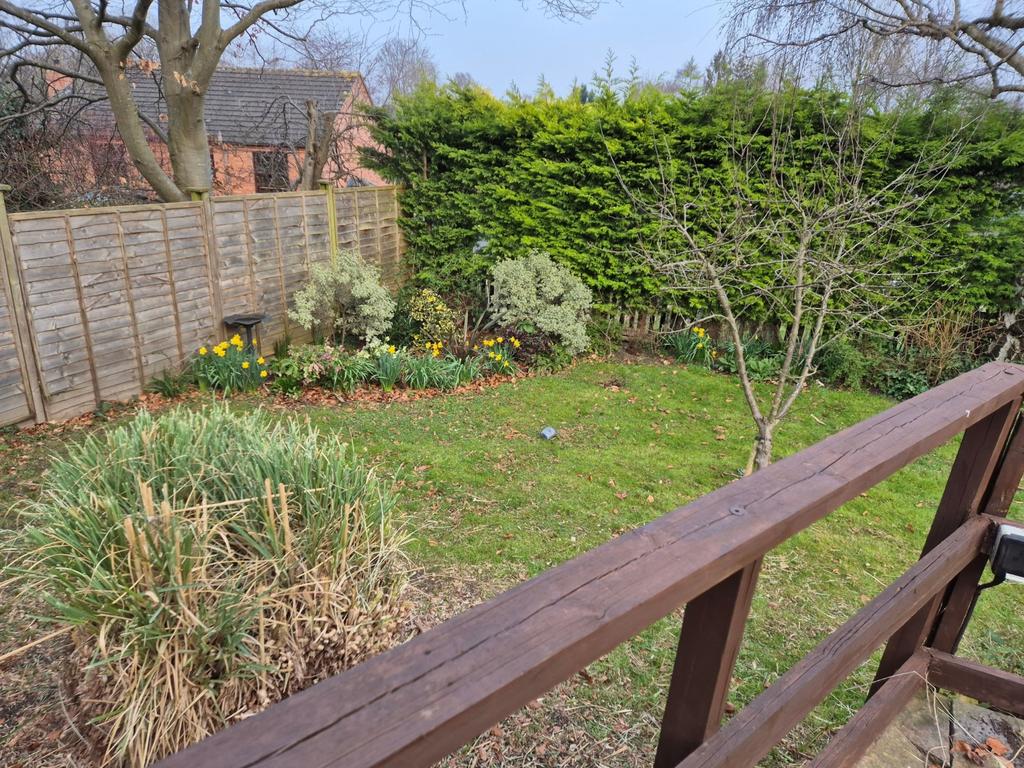 Back Garden 02