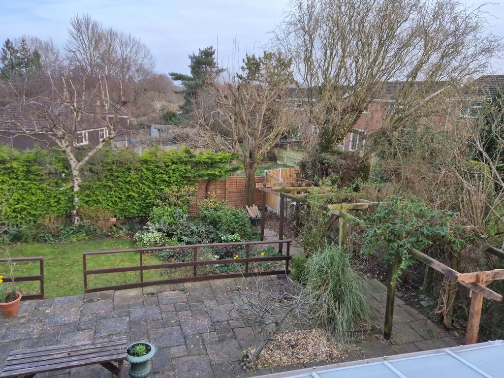 Back Garden 04