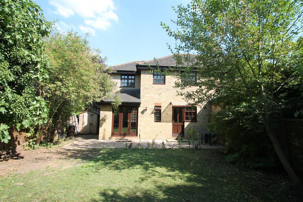 Rear aspect