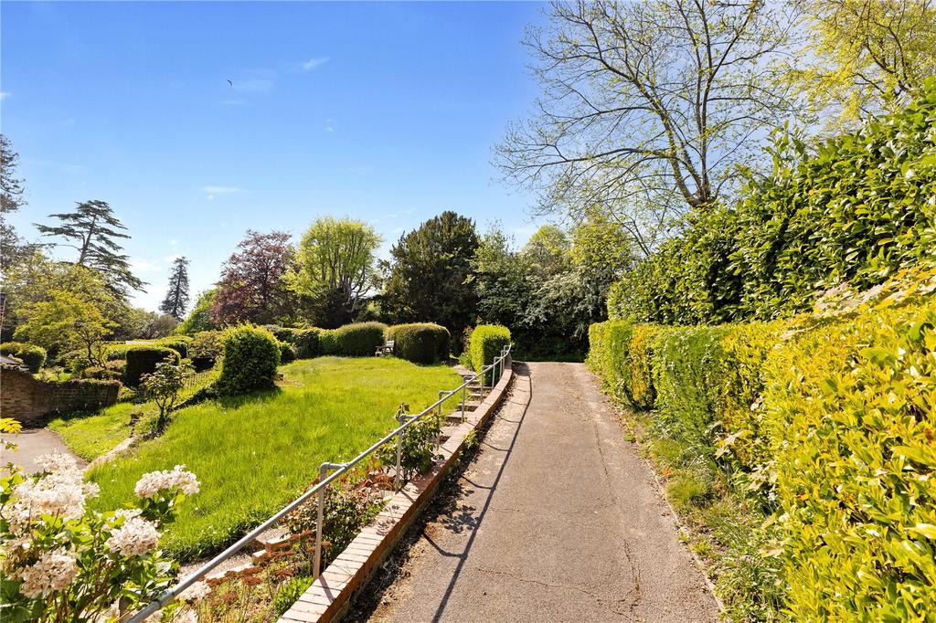 Driveway and Garden