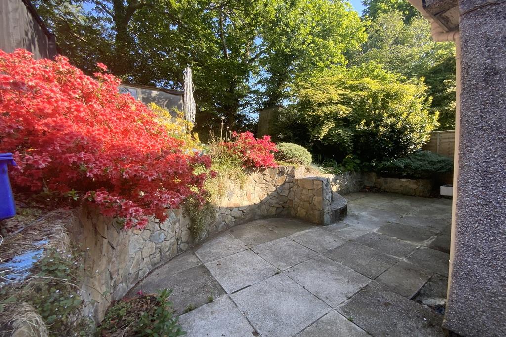 Back garden