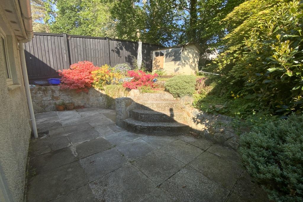 Back garden