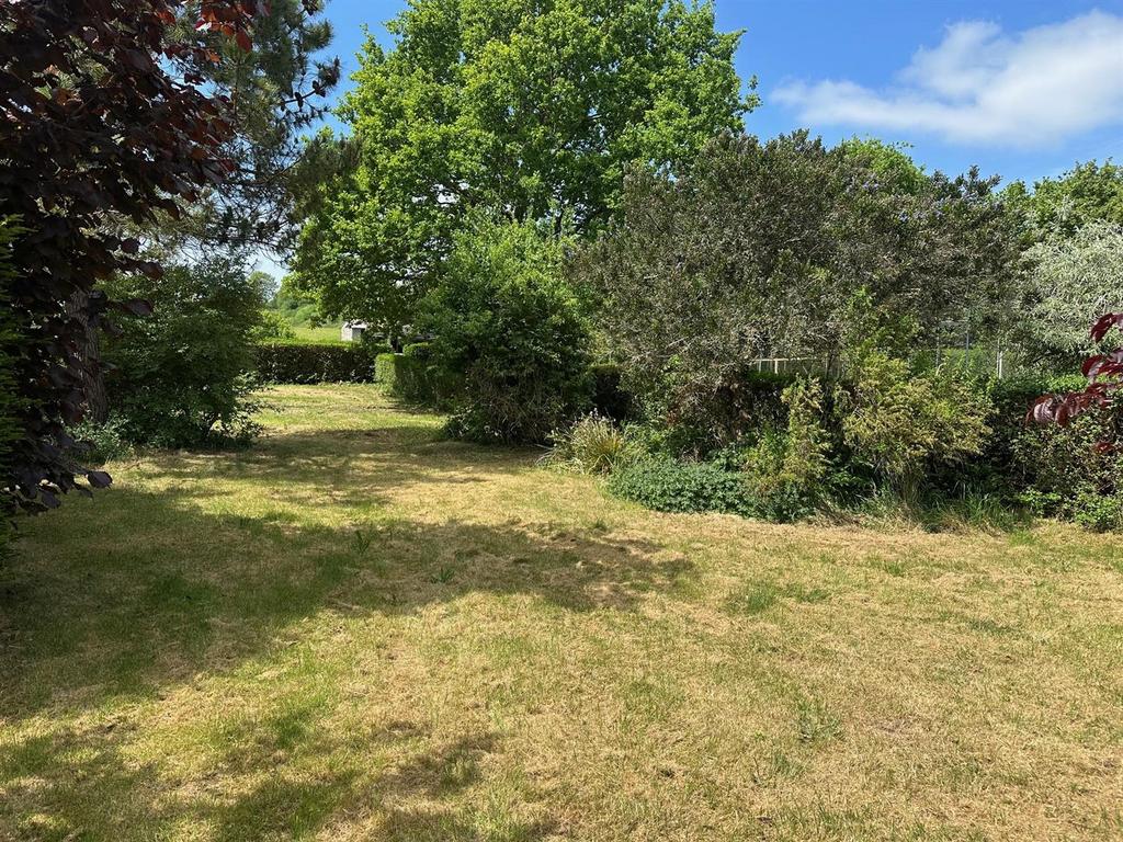 Garden.jpg