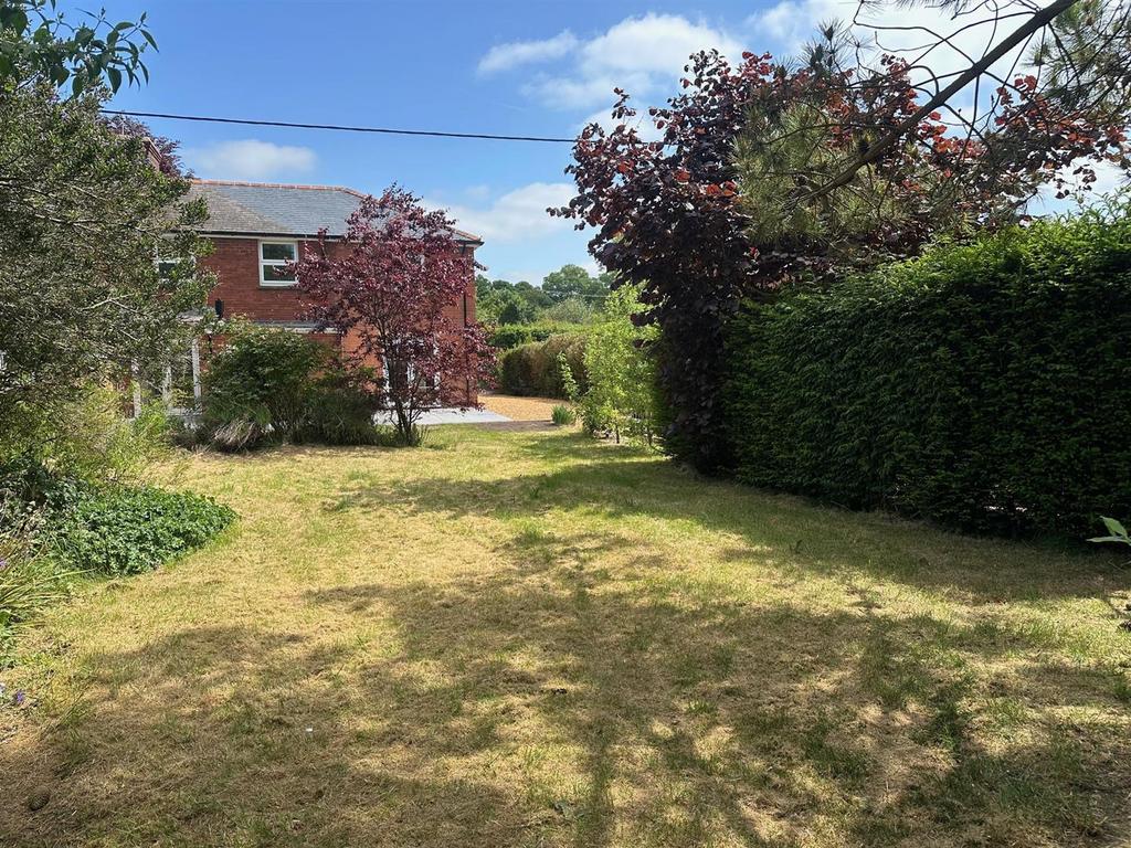 Garden 2.jpg
