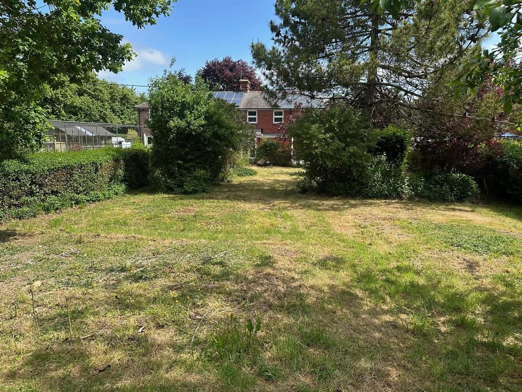 Garden 3.jpg