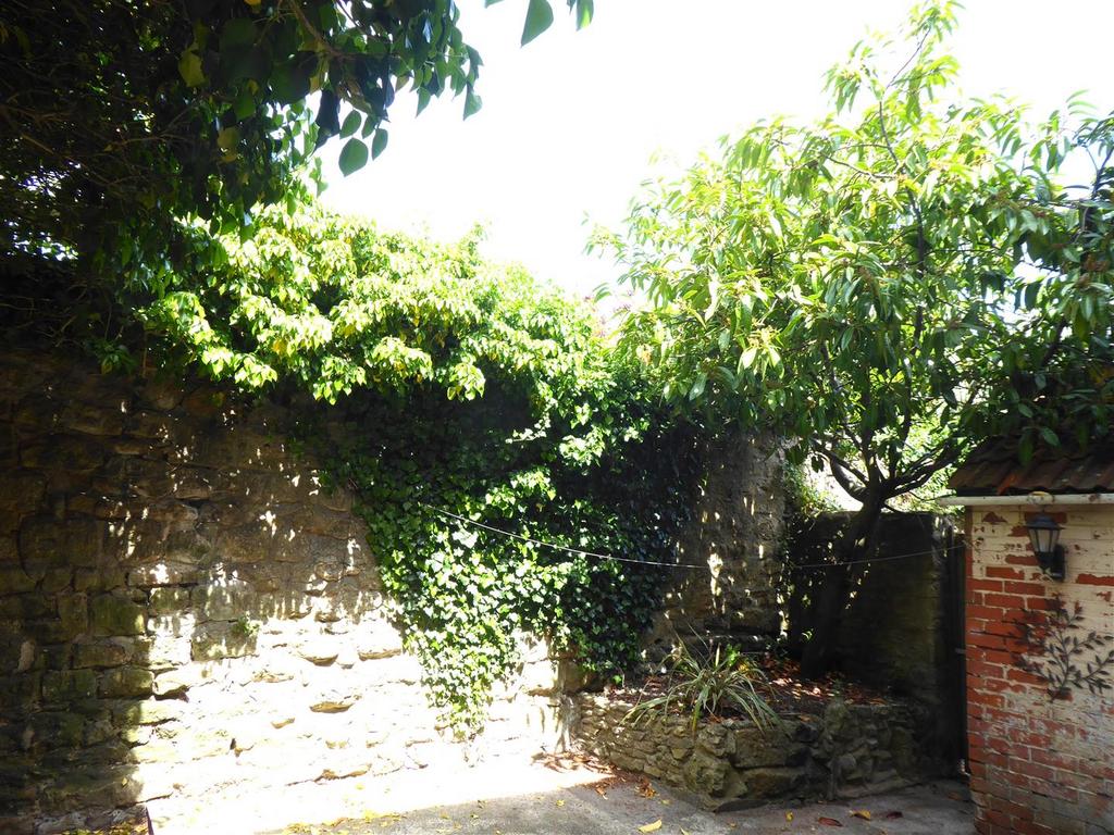 Garden 2.JPG