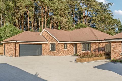 3 bedroom bungalow for sale, Lions Lane, Ashley Heath, Ringwood, Dorset, BH24