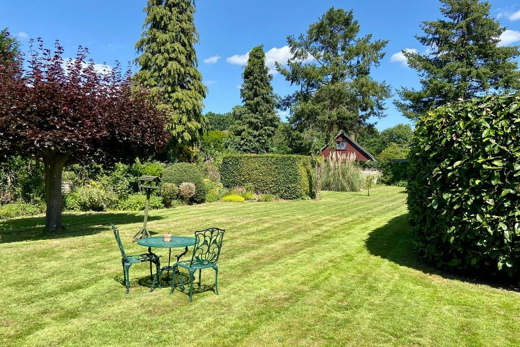 Garden view, garden