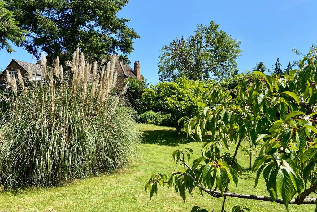 Garden view, garden