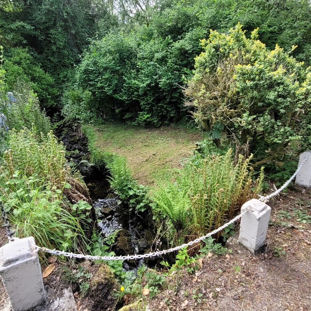 Stream