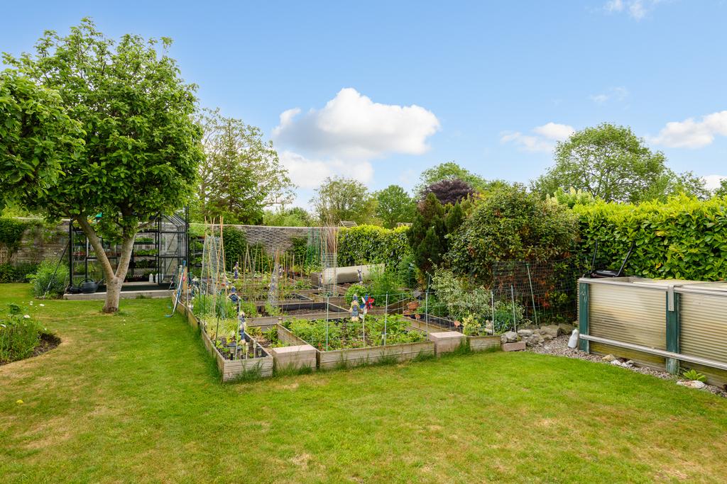 Vegetable Garden