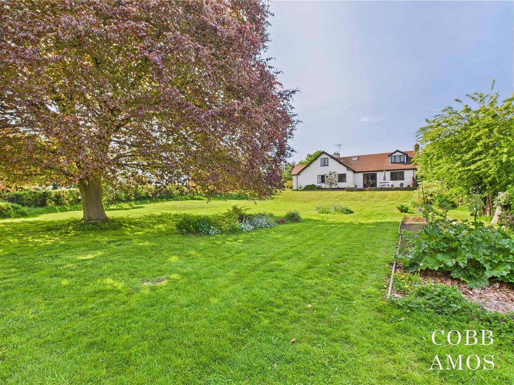 CAM02803 G0-PR0174-STILL093.jpg