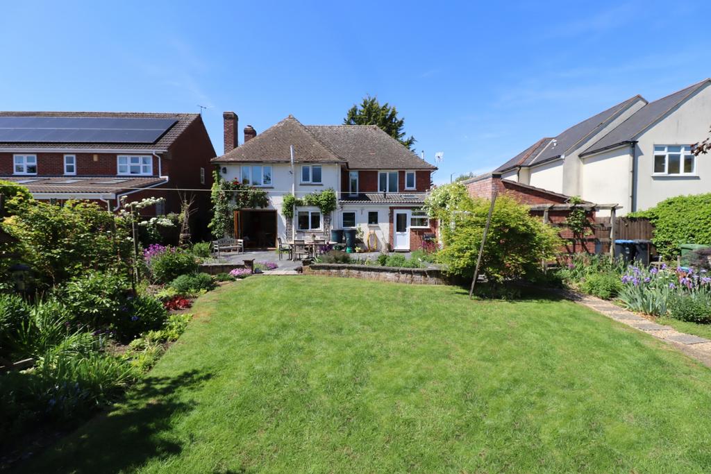 Back Garden I