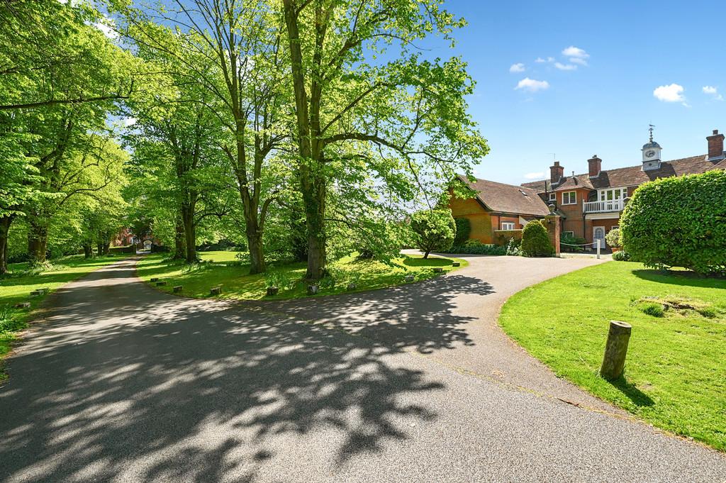 2 Salcote mews tn31 (2)