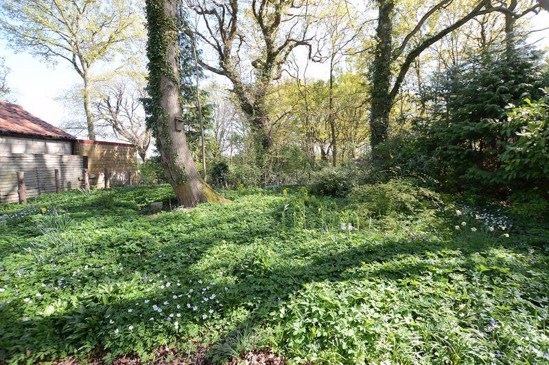 Far End of Garden