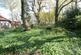 Far End of Garden