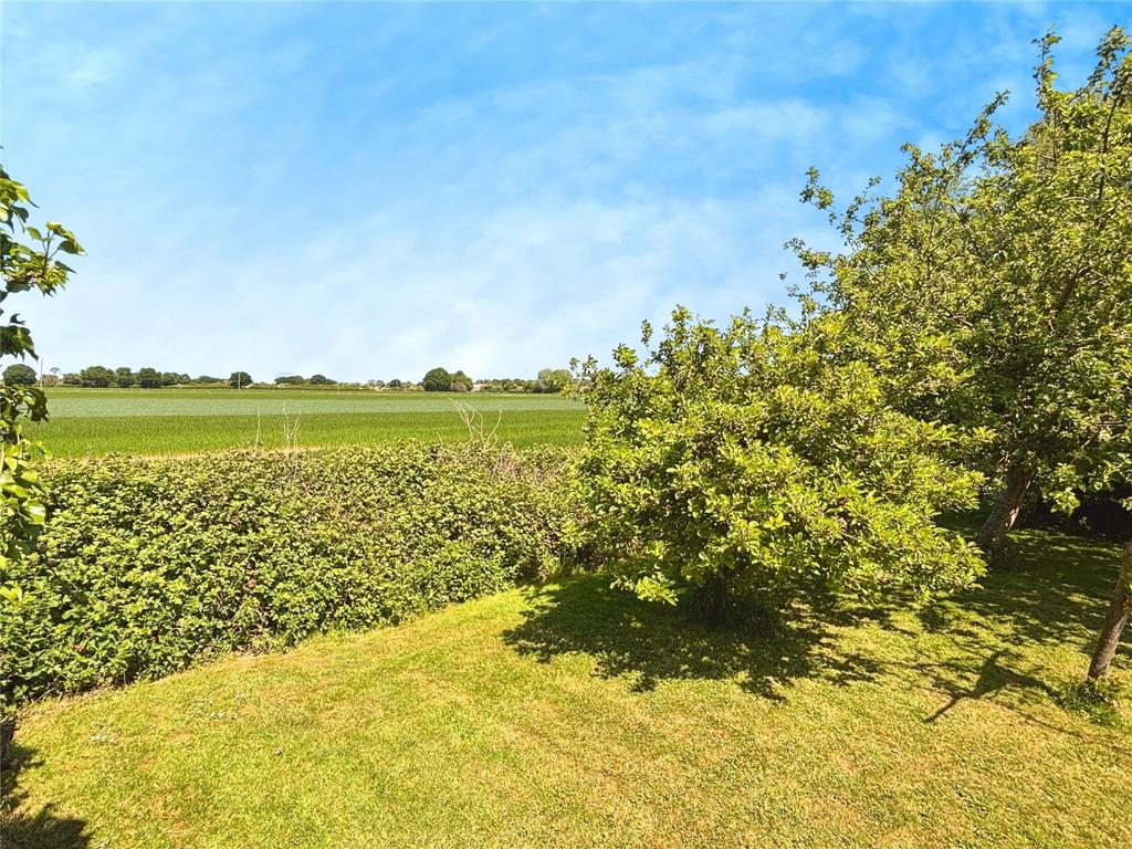 View Over Fields
