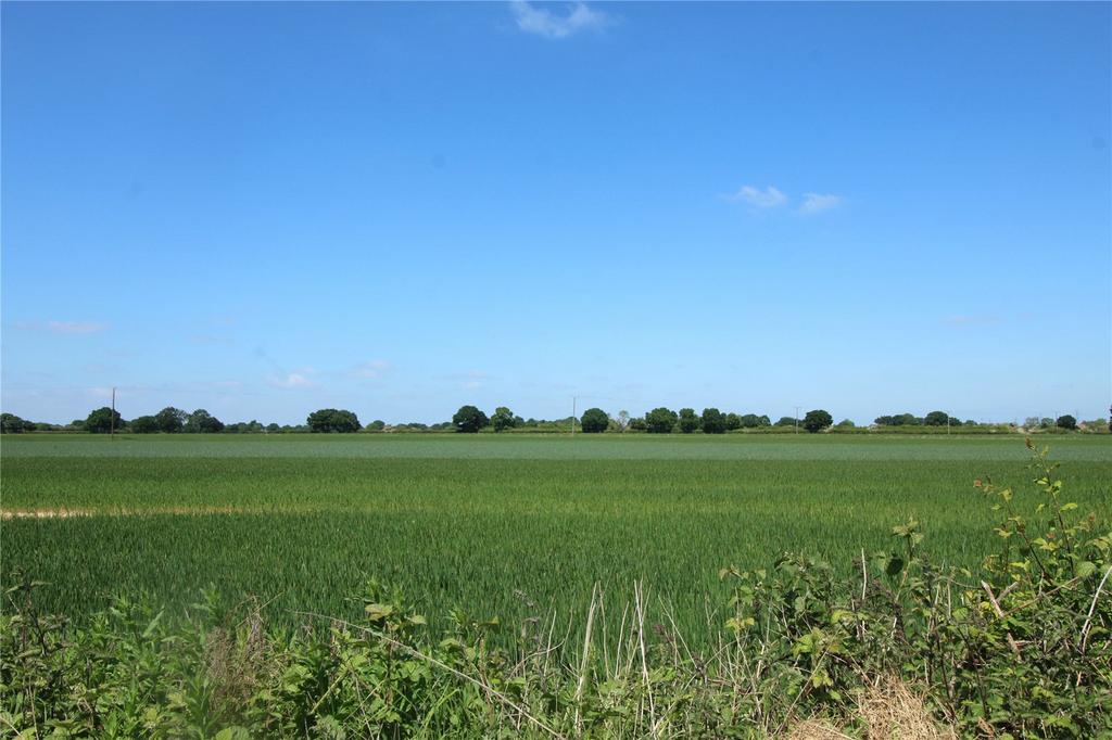 View Over Fields