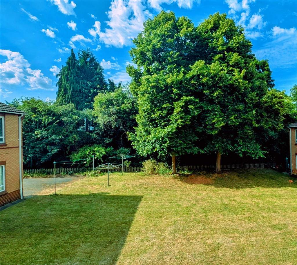 Garden .jpg