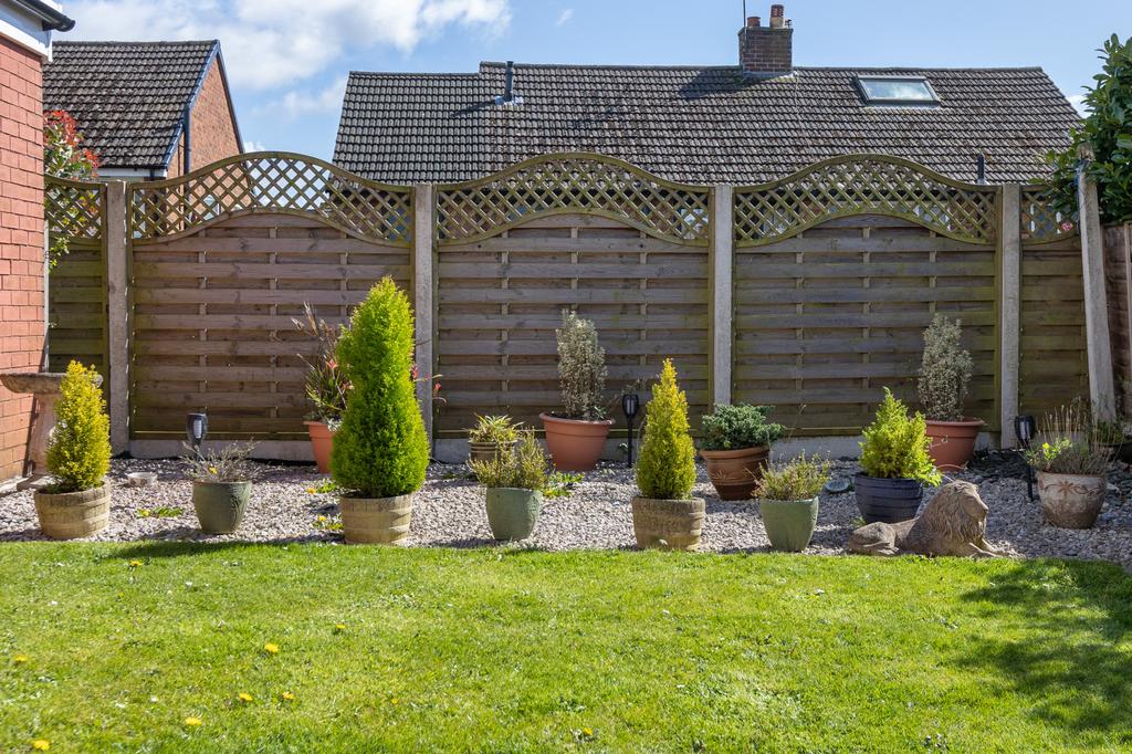 Back Garden