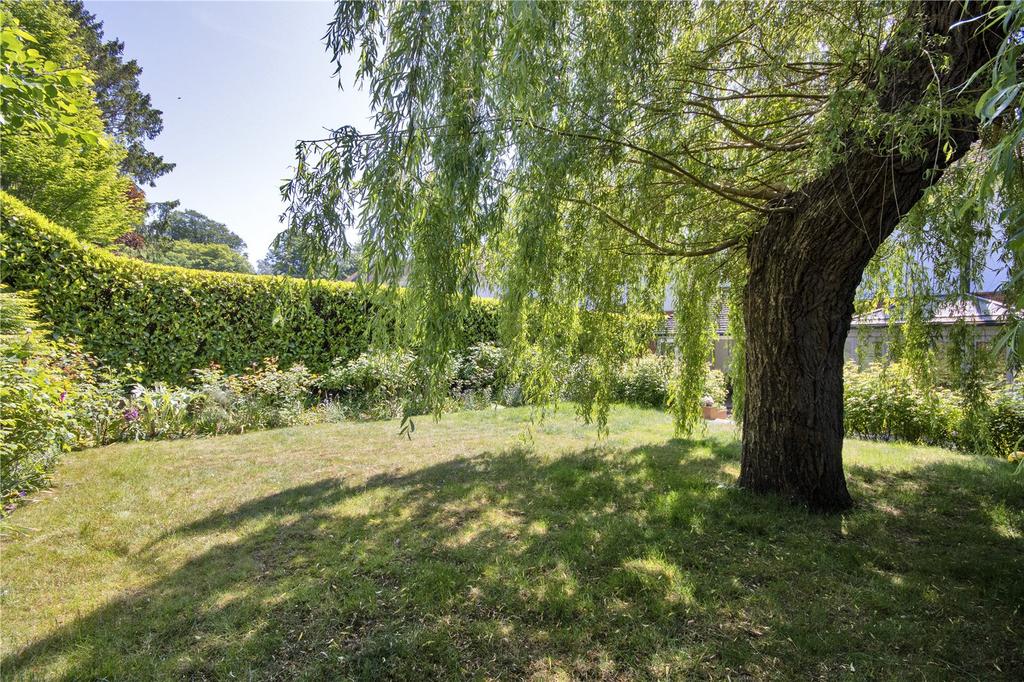 Rear Gardens