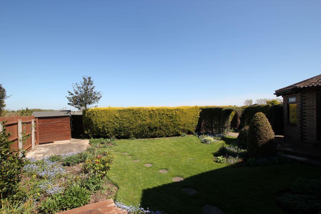 Garden.JPG