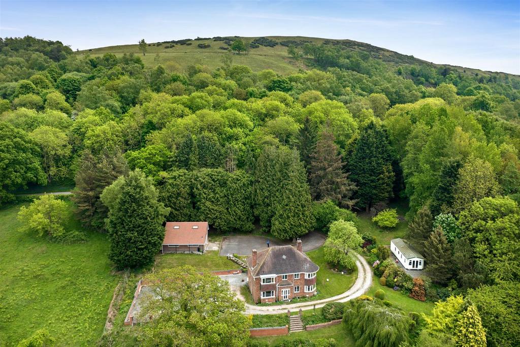 DJI 0792 D.jpg
