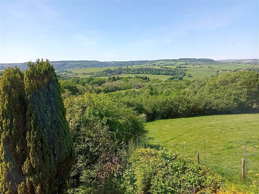 View From Farmhouse Conservatory Sun Room