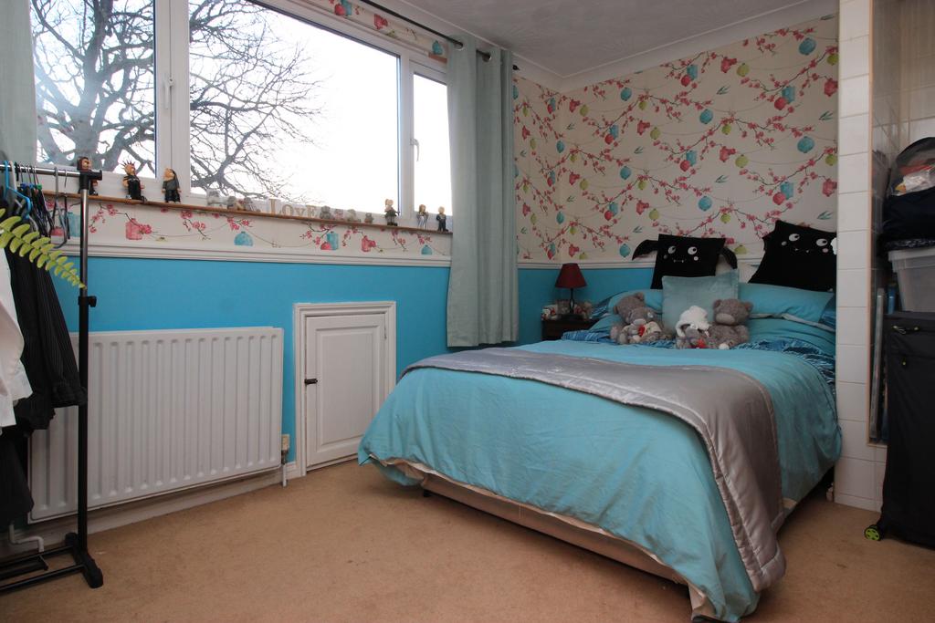 Picture 20