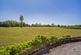 York Road, Wetherby, North Yorkshire, LS22 photo 3
