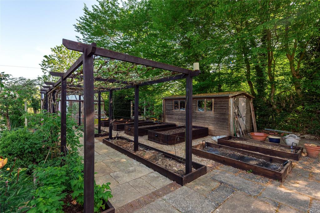 Vegetable Garden