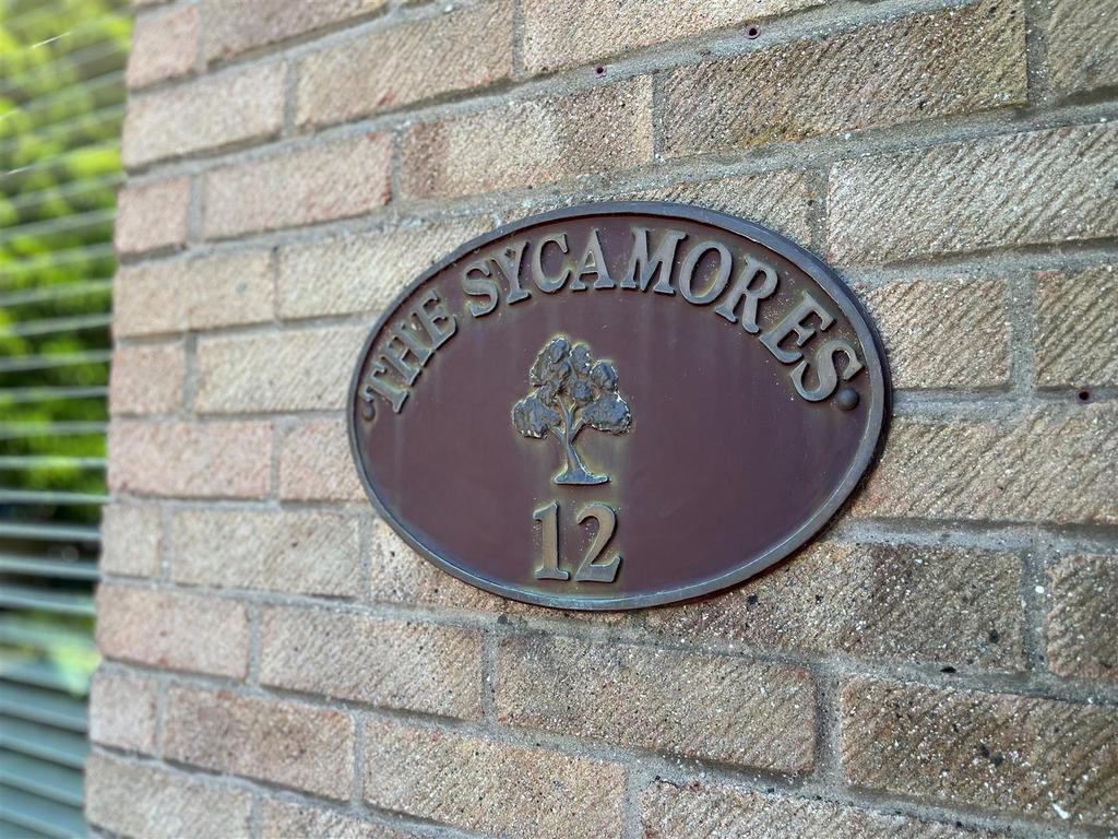 The Sycamores.jpg