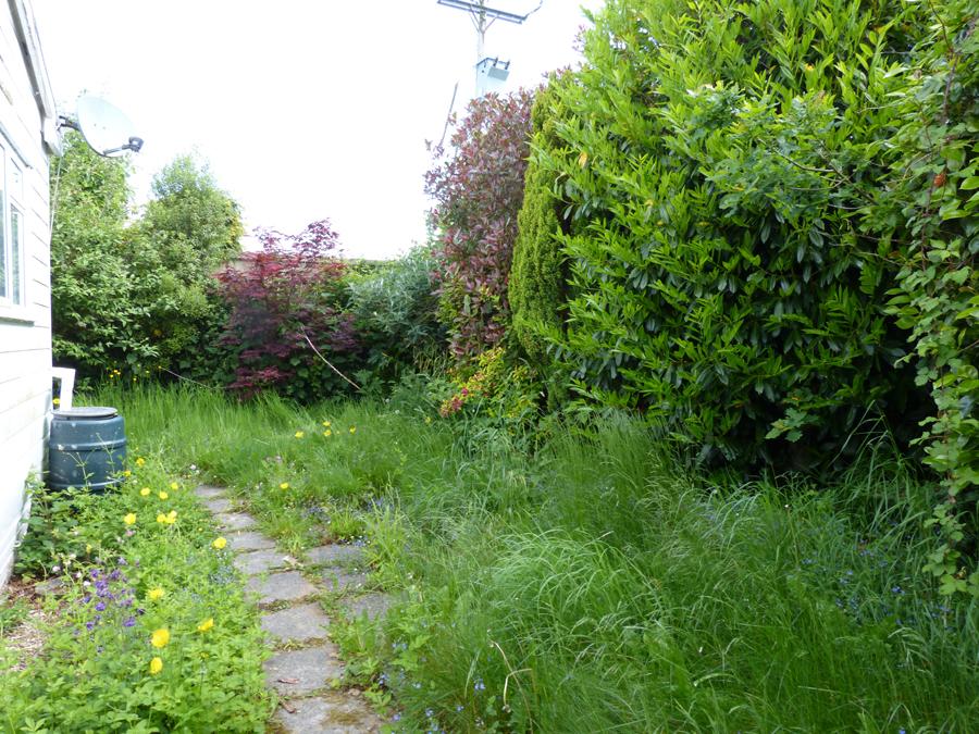 Back Garden