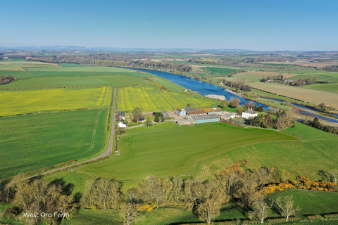 Farm for sale, West Ord Farm, Berwick-upon-Tweed TD15