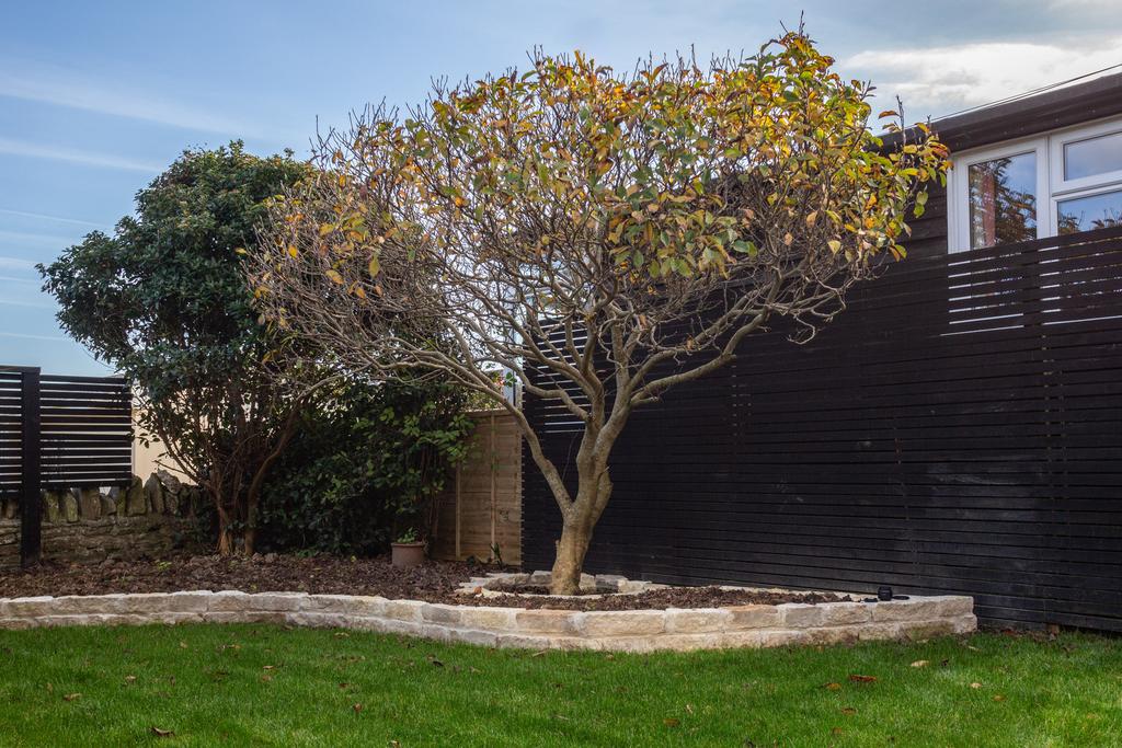 243569 - Swanage - The Modern House-41.jpg