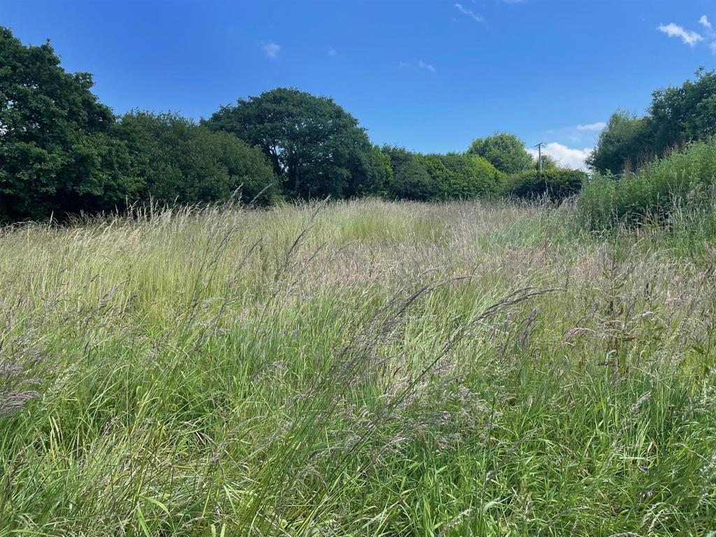 Site
