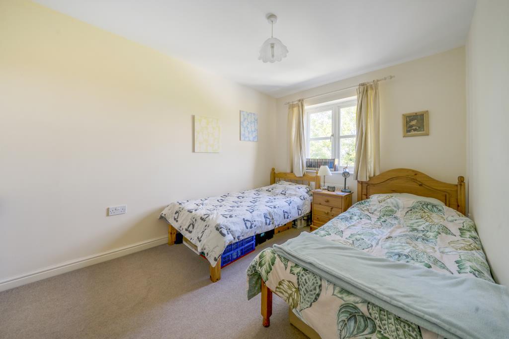 Photos