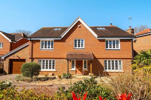undefined, Thakeham Copse, Storrington, West Sussex, RH20