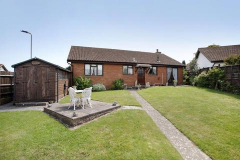 undefined, Burch Gardens, Dawlish EX7