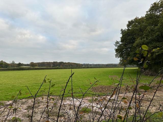 Image4.jpeg