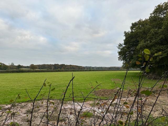 Image5.jpeg
