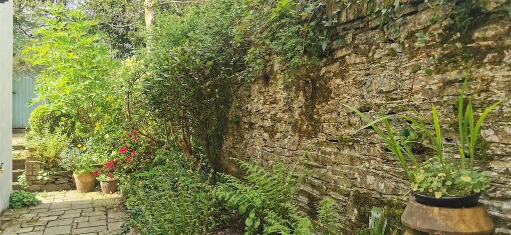 Rear Passage