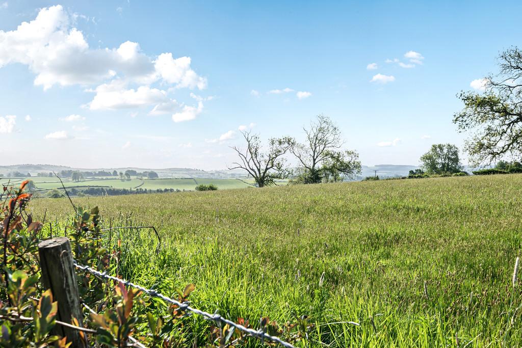 Views from detached garden